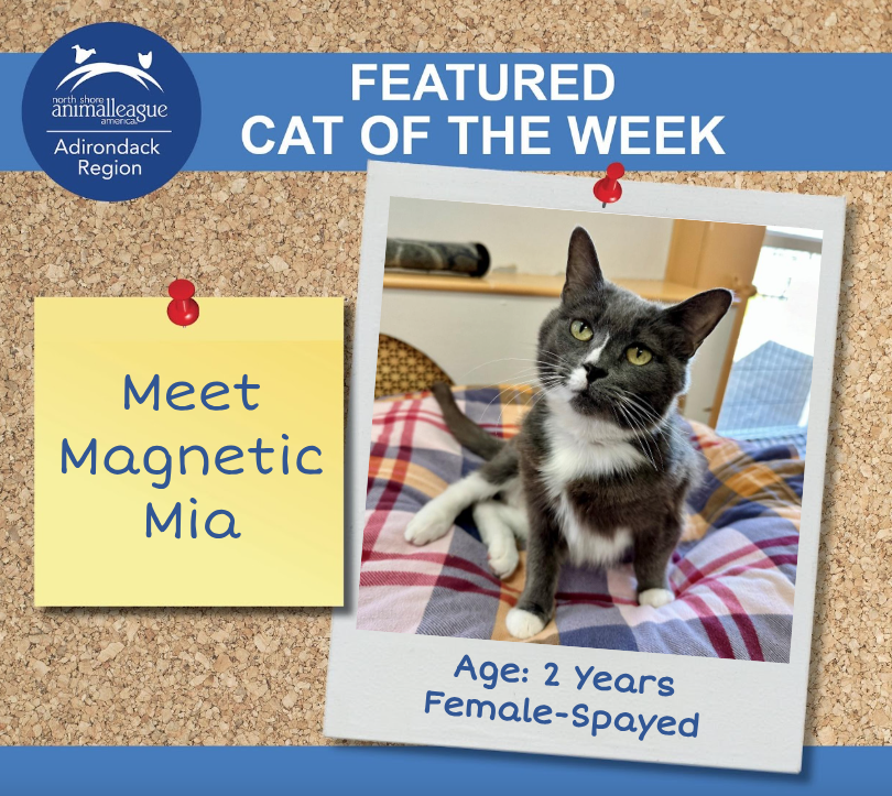 Cat of the week - Mia